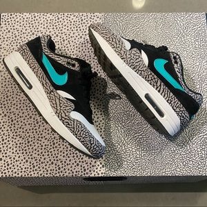 Atmos X Jordan/Nike Air Max 1